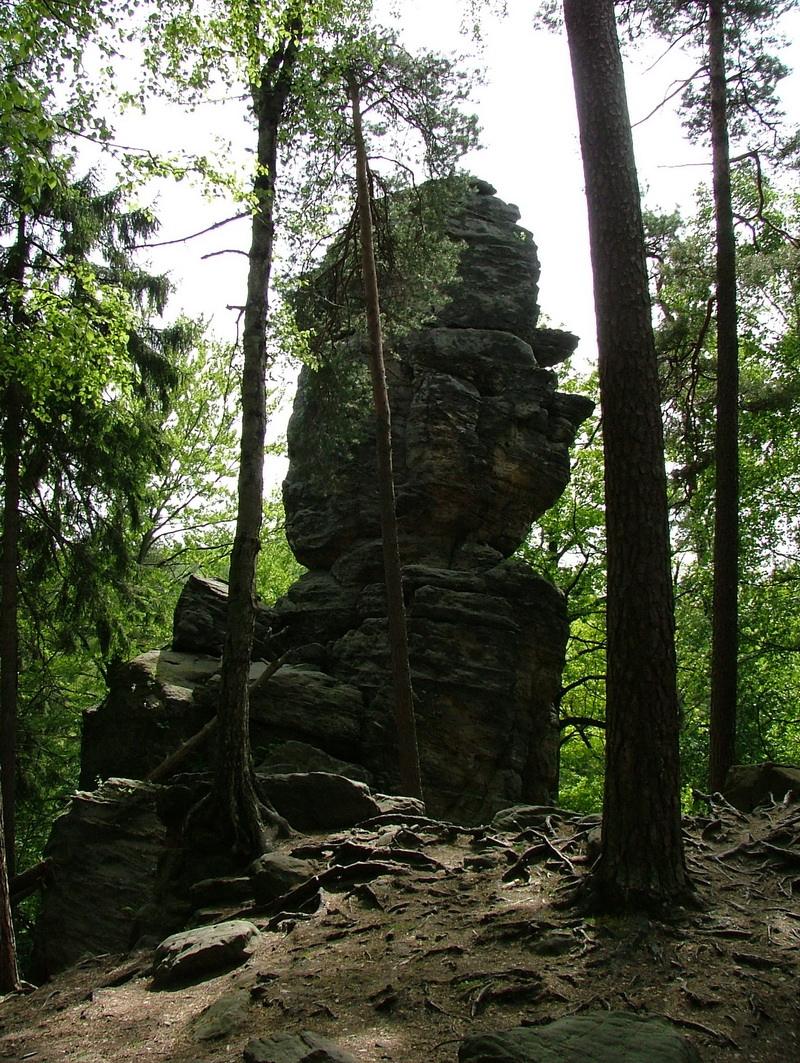 A first for me – rock climbing in the Elbe Sandstone Highlands