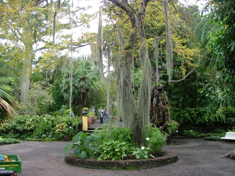 Jardín Botánico de la Orotava
