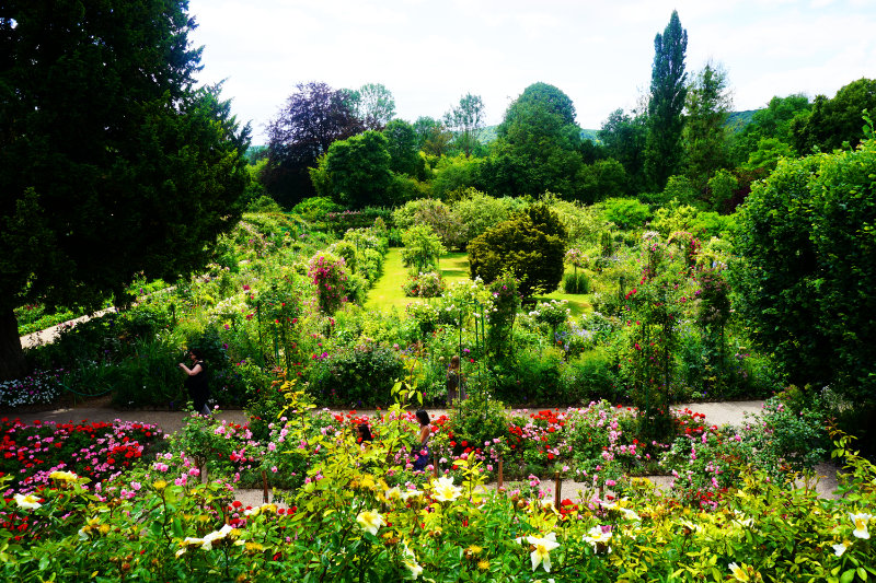 garden Monet
