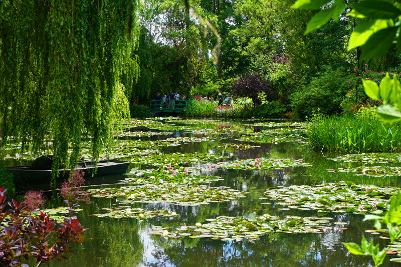 Lily pond Monet