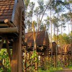A night in a treehouse at Lake Senftenberg