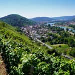 Franconian Red Wine Trail