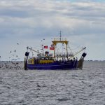 On the move in the Wadden Sea with the crab cutter
