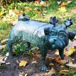 On the trail of the forest pug - out and about in Brandenburg an der Havel