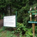 Short hike through the Zechengrund nature reserve