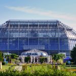 A botanical journey around the world through the Botanic Garden Berlin