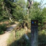 Hike on the Havel Heights Trail