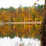 Herbst in der Mecklenburgischen Seenplatte