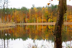 Herbst in der Mecklenburgischen Seenplatte