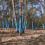 Hike through the Grunewald forest in Berlin